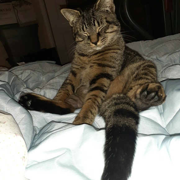 Meet your Posher, Susan - Picture 1 of 1